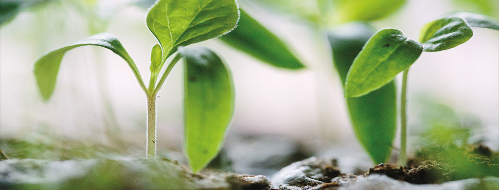 Business growth must be sought in “uncomfortable places”