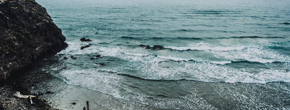 Don’t go with the flow – swim against the tide