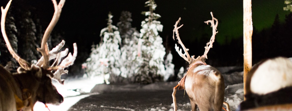 What Santa can teach retailers about the online delivery experience
