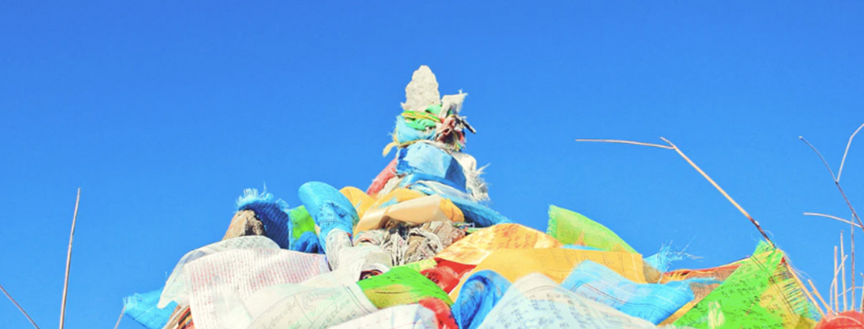 Fighting plastic pollution with technology